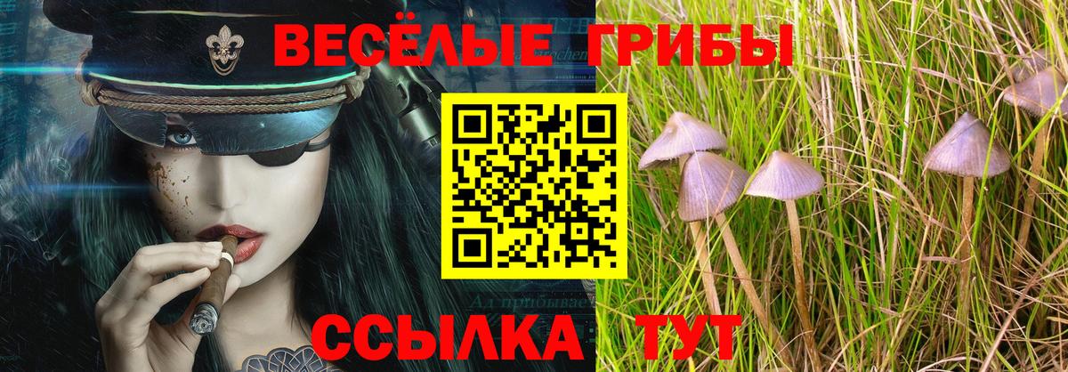 Псилоцибиновые грибы Magic Shrooms  закладка  Аша  Вход с VPN 